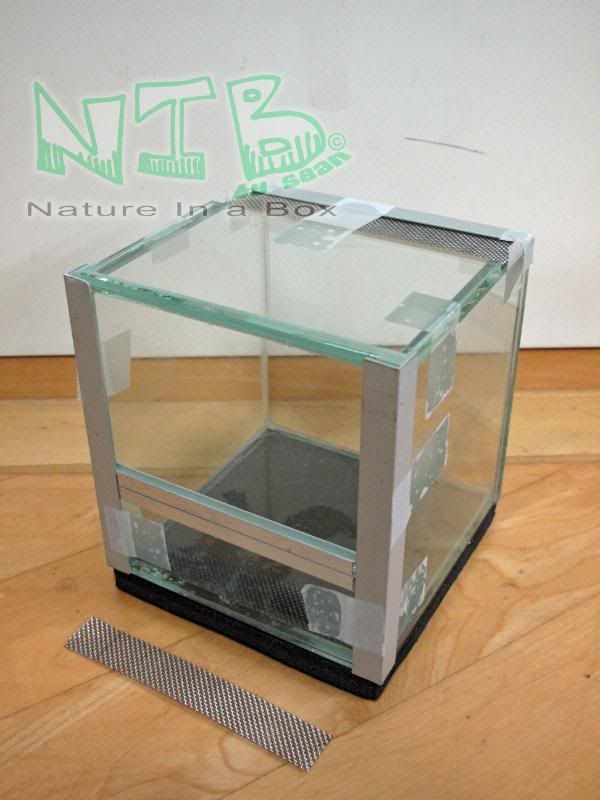 Convert a glass aquarium to a European style terrarium Dendroboard